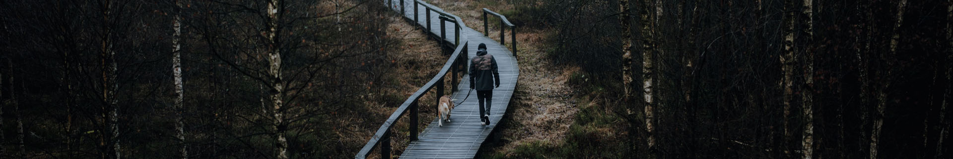 Sigma Autumn Cashback